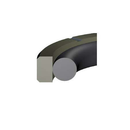 Junta PS-10 PTFE estándar 3,10x